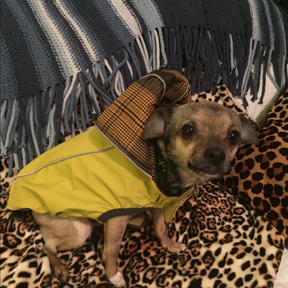 GOFRESHPET imperméable pour petit chien - Picture 1 of 4